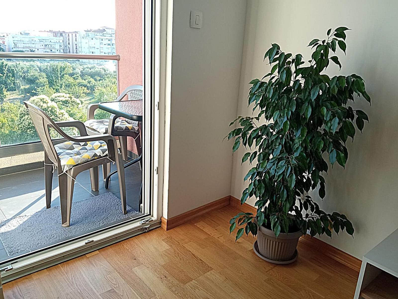 Aga Apartman Podgorica Extérieur photo